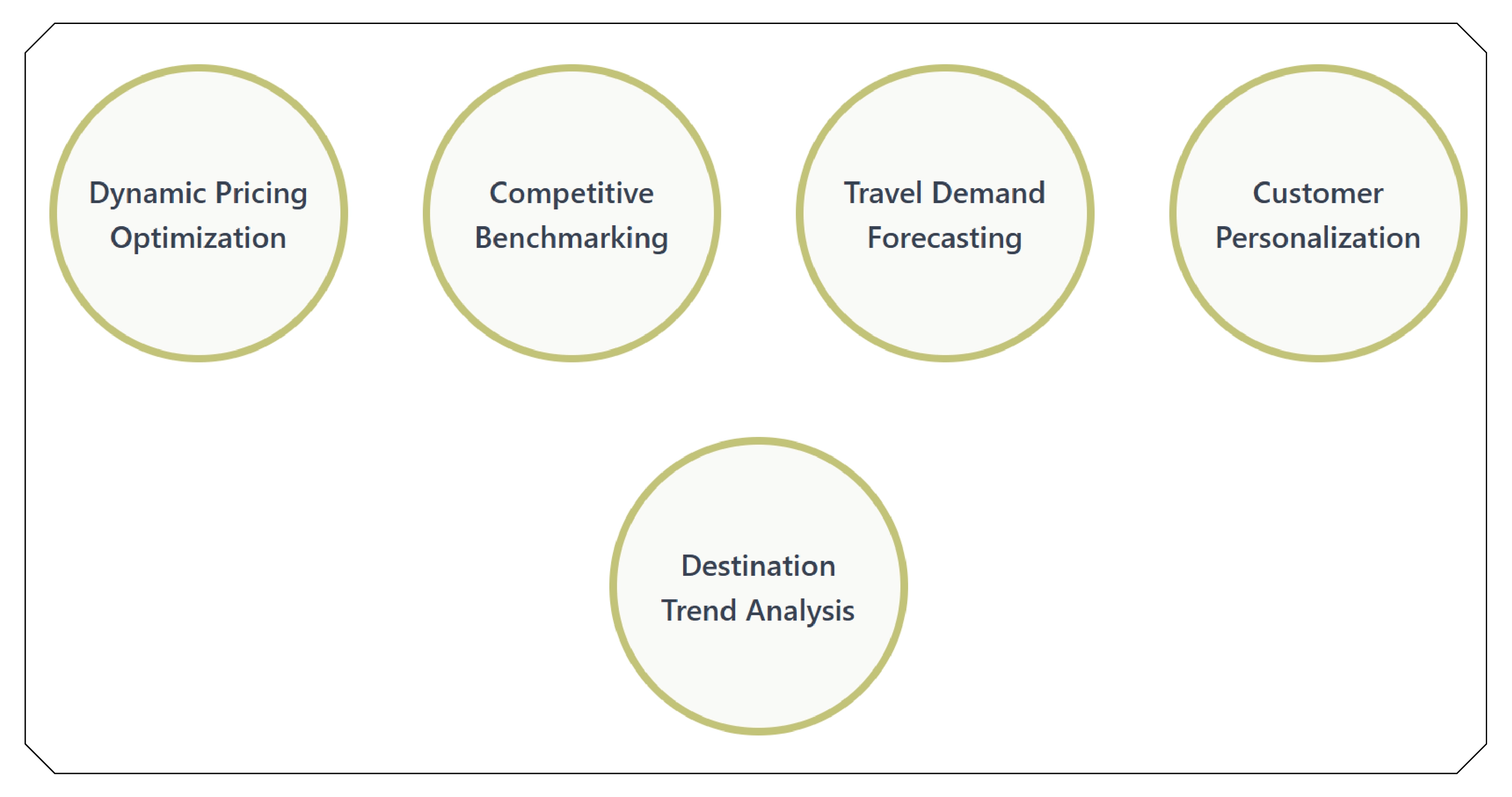 Strategic Applications of Viator Data